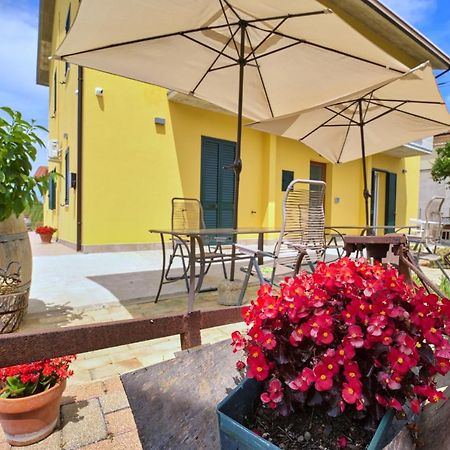 La Casa Del Vino - B&B Tollo 외부 사진