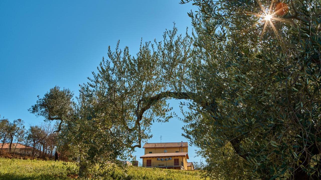 La Casa Del Vino - B&B Tollo 외부 사진