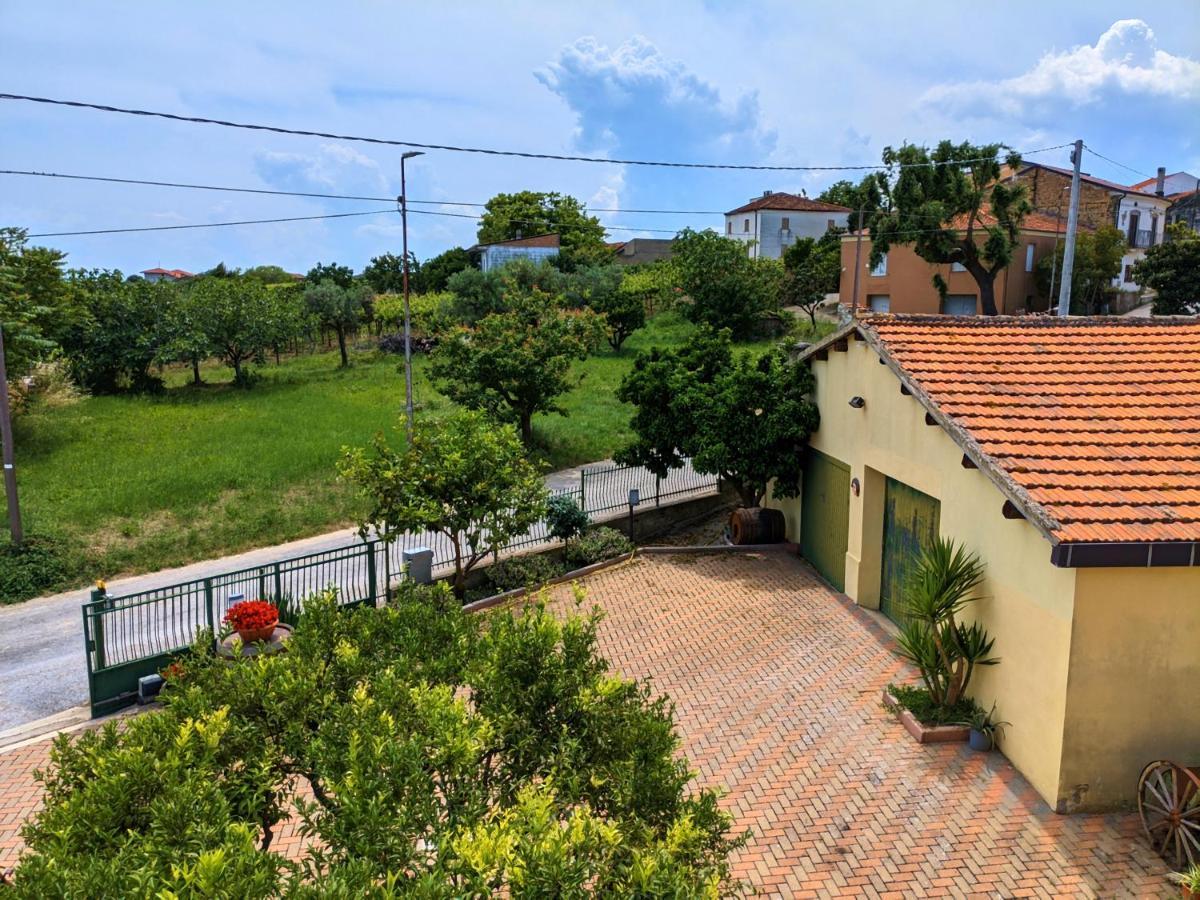 La Casa Del Vino - B&B Tollo 외부 사진