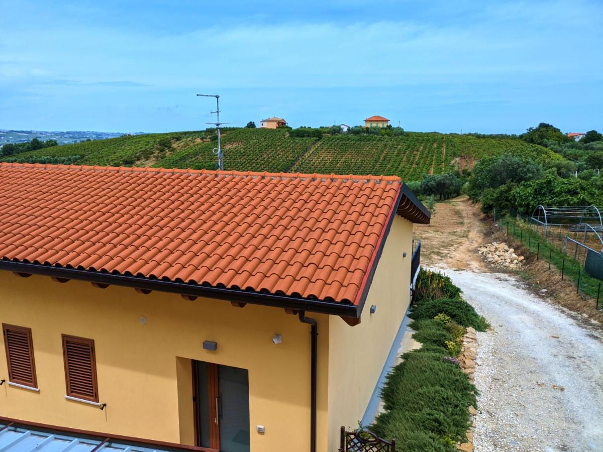 La Casa Del Vino - B&B Tollo 외부 사진